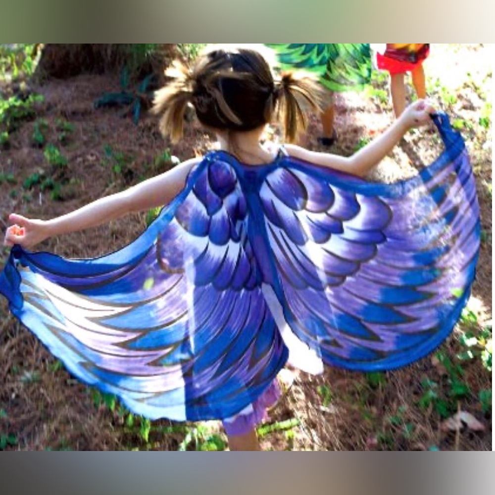 Kids Blue and Purple Angel Wings Costume